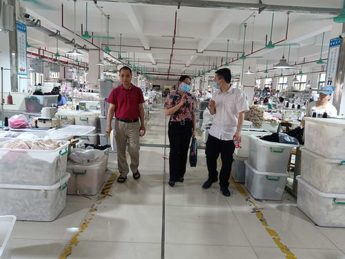贵港市侨联赴港北区 覃塘区开展侨资企业调研