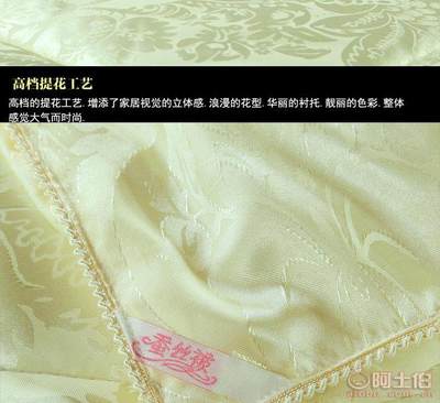 【蚕丝被100%桑蚕丝夏凉被贡缎提花加厚冬被春秋被子母被芯厂家直销】崇川区麦伦家用纺织品厂 - 产品库