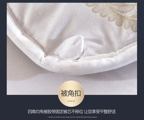 花花公子 playboy 家纺床上用品亲肤磨毛加厚保暖羊毛被