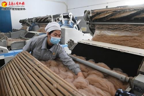 企业一线看生产丨本土驼绒产品布局13个国家