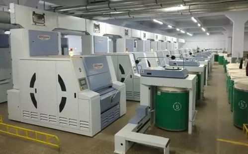 梳棉附加分梳元件的发展 分析和探讨